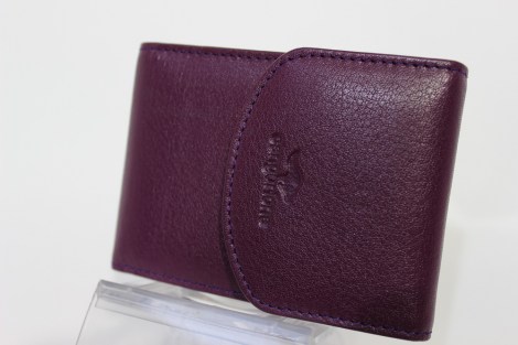 Can3103A-DPu